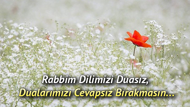 CUMA MESAJLARI (HAYIRLI CUMALAR RESİMLERİ): En güzel, dualı, ayetli, hadisli, farklı, WhatsApp Cuma günü kutlama mesajları ile sözlerinden derlemeler