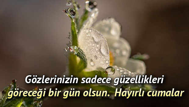 CUMA MESAJLARI (HAYIRLI CUMALAR RESİMLERİ): En güzel, dualı, ayetli, hadisli, farklı, WhatsApp Cuma günü kutlama mesajları ile sözlerinden derlemeler