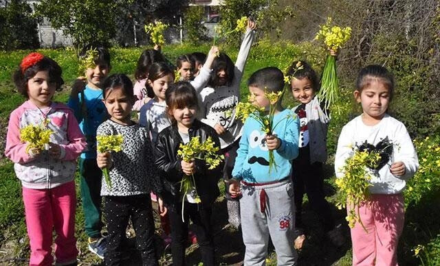 CEMRE HAKKINDA BİLGİ