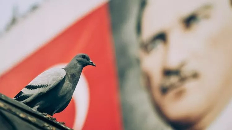 10 KASIM OKULLAR TATİL Mİ 10 KASIM OKULLAR TATİL Mİ