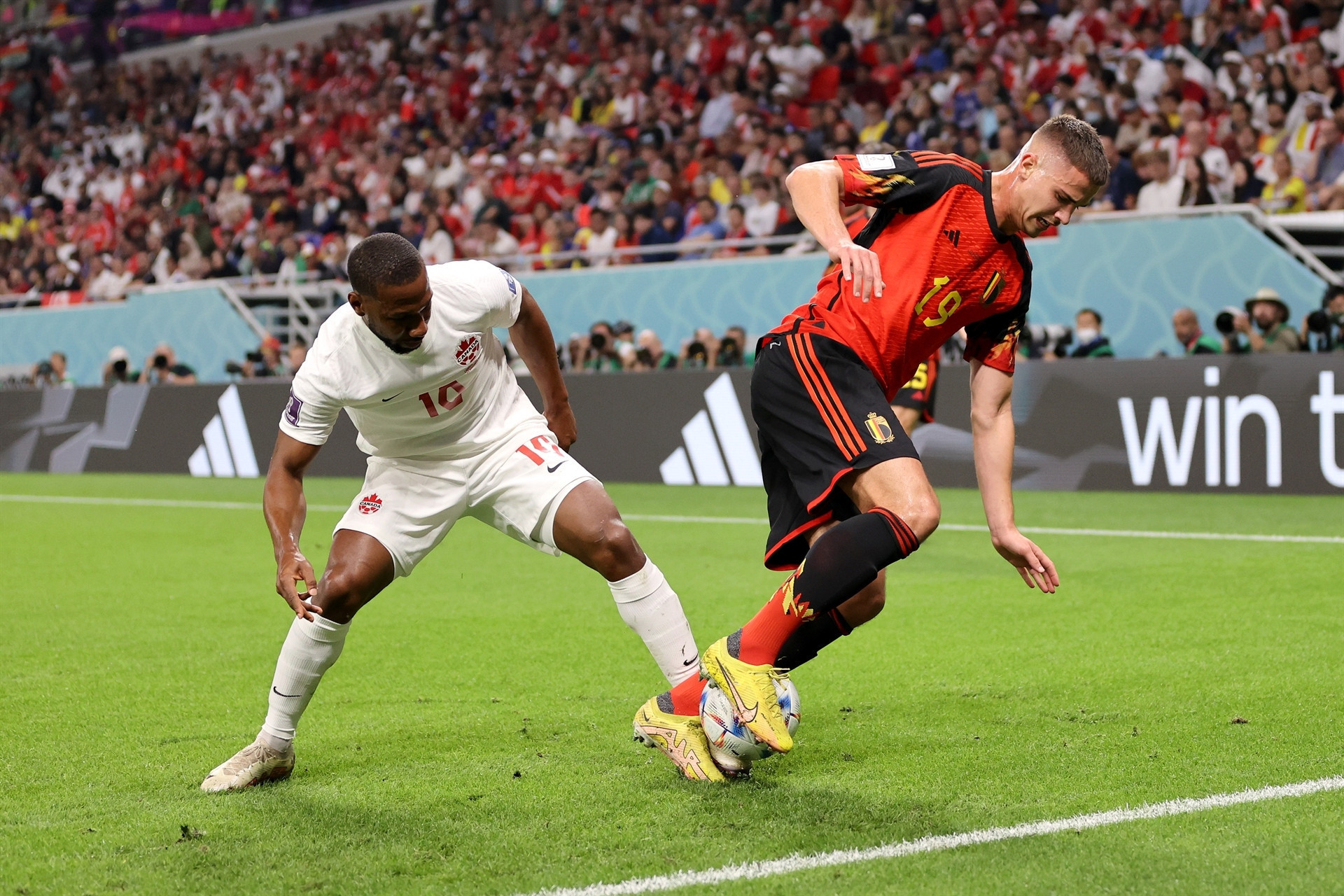 DOHA, QATAR - NOVEMBER 23: Leander Dendoncker of Belgium controls the ball against Junior Hoilett of Canada during the FIFA World Cup Qatar 2022 Group F match between Belgium and Canada at Ahmad Bin Ali Stadium on November 23, 2022 in Doha, Qatar. (Photo by Clive Brunskill/Getty Images)