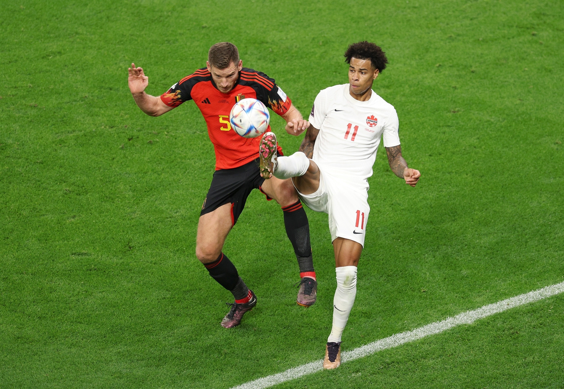 DOHA, QATAR - NOVEMBER 23: Tajon Buchanan of Canada and Jan Vertonghen of Belgium battle for the ball during the FIFA World Cup Qatar 2022 Group F match between Belgium and Canada at Ahmad Bin Ali Stadium on November 23, 2022 in Doha, Qatar. (Photo by Richard Heathcote/Getty Images)