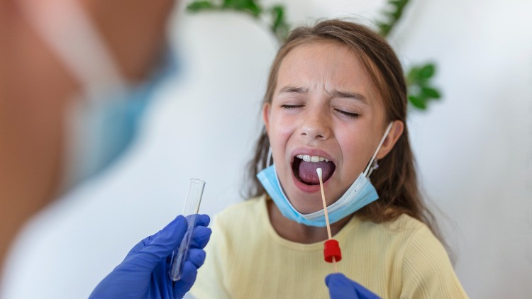 STREP A TÜRKİYEDE NERELERDE GÖRÜLDÜ