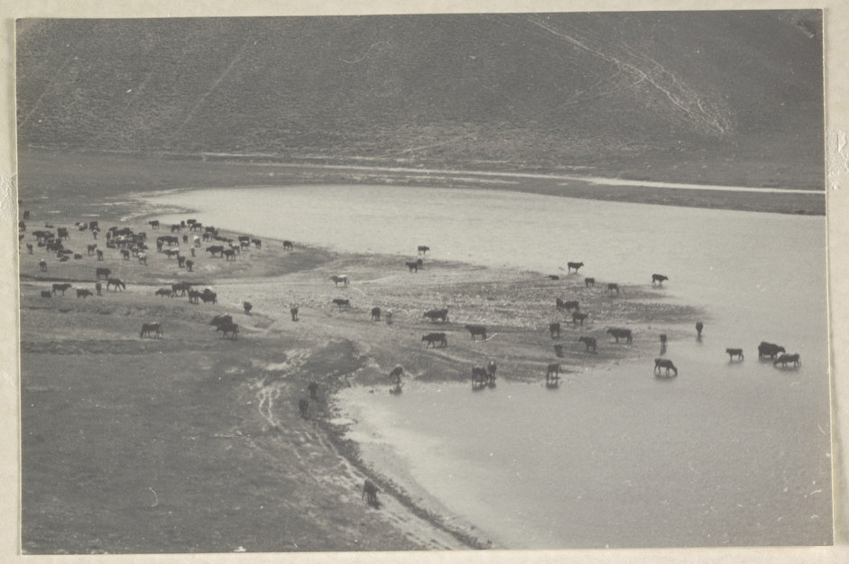 Eymir Gölü 1938