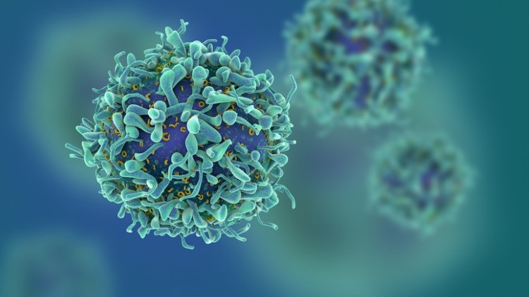 H1N1 VİRÜSÜ NASIL BULAŞIR