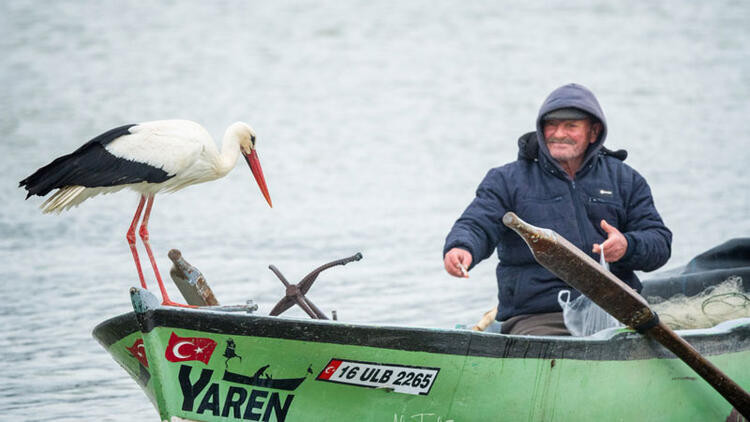 YAREN LEYLEK GELDİ Mİ 2023