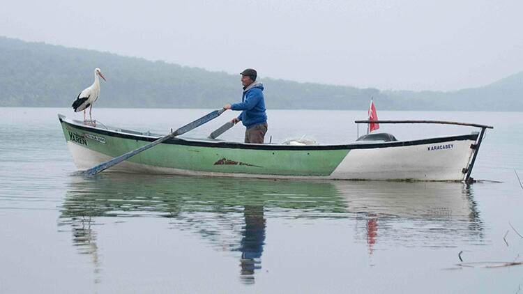 YAREN LEYLEK ADEM AMCA HİKAYESİ