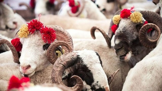 2023 KURBAN BAYRAMI TARİHLERİ