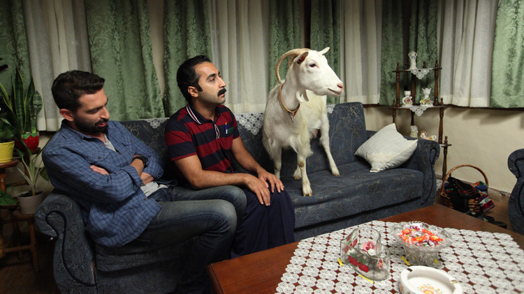 DEDEMİN FİŞİ FİLMİ KONUSU