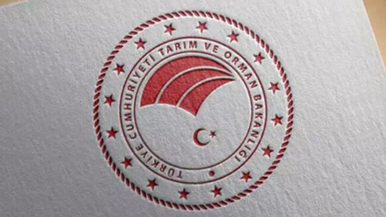 FINDIK ALIMI NE ZAMAN BAŞLAYACAK