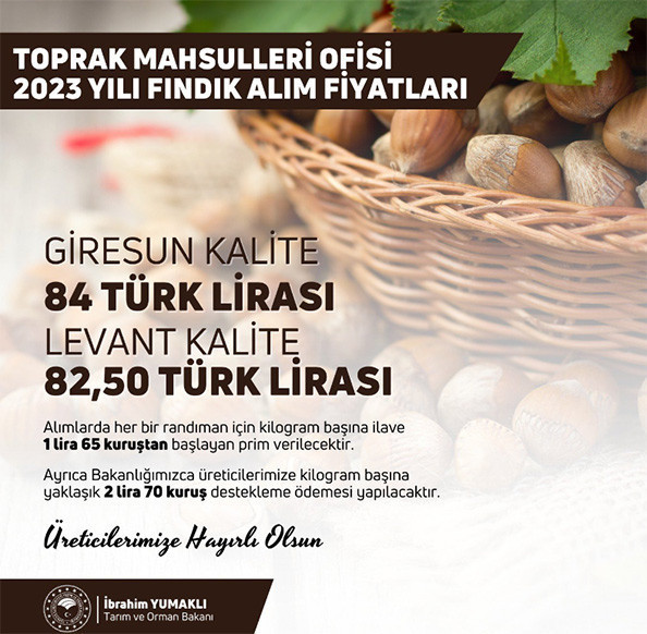 2023 FINDIK ALIM FİYATI