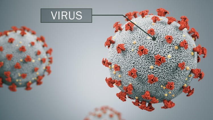 ERİS VARYANTI TÜRKİYEDE VAR MI