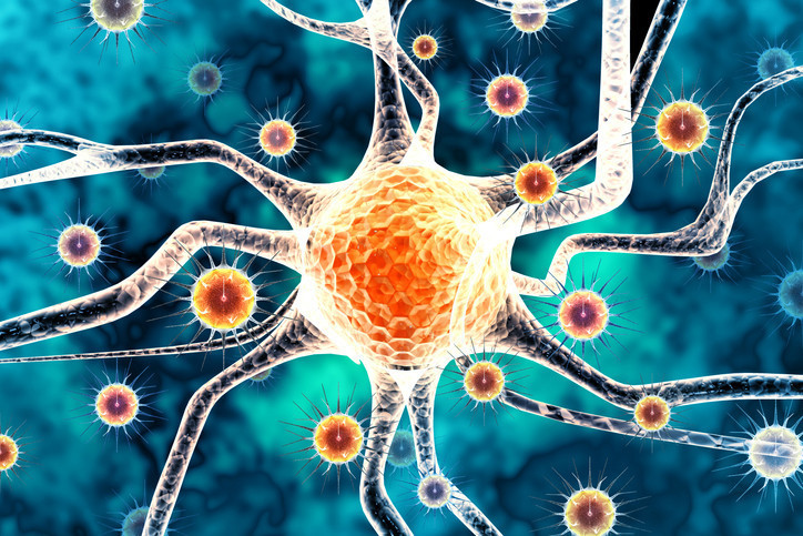 MAYMUN ÇİÇEĞİ BELİRTİLERİ NELERDİR MAYMUN ÇİÇEĞİ BELİRTİLERİ NELERDİR