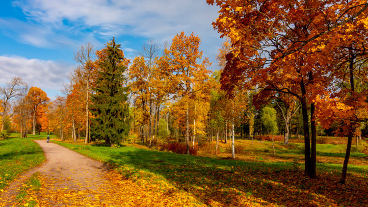 PASTIRMA SICAKLARI NE ZAMAN BAŞLIYOR
