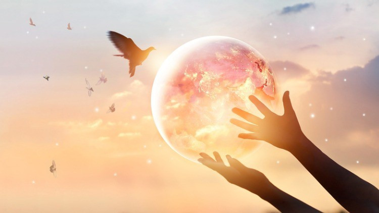 MEVLİD KANDİLİ MESAJLARI VE SÖZLERİ 2023 (GÜNCEL-YENİ-RESİMLİ): Whatsappa özel dualı, hadisli, farklı, anlamlı ve etkileyici Mevlid Kandili Mesajları (Hayırlı Kandiller sözleri- Kandiliniz Mübarek olsun paylaşımları)