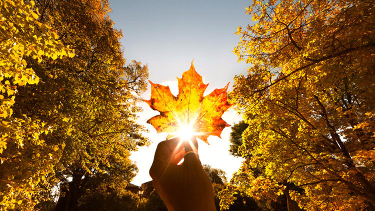 PASTIRMA SICAKLARI NE ZAMAN PASTIRMA SICAKLARI NE ZAMAN