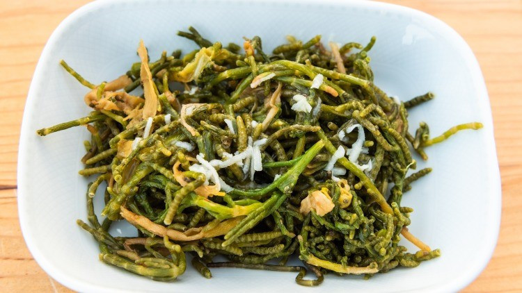 Bir damlası bile cildi yeniliyor İşte genç kalmanın sırrı kaya koruğu faydaları