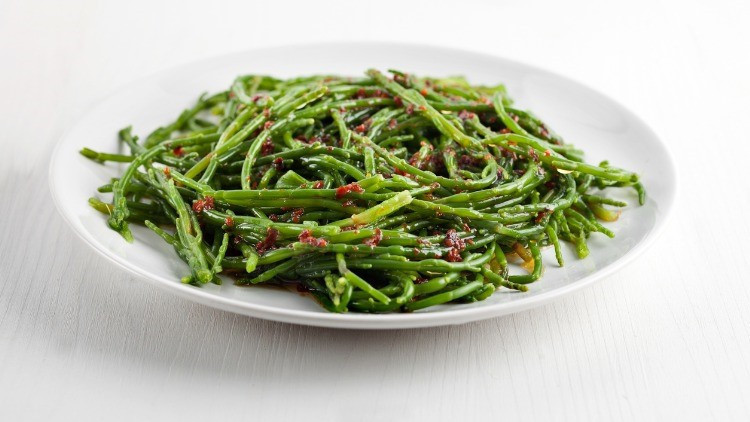 Bir damlası bile cildi yeniliyor İşte genç kalmanın sırrı kaya koruğu faydaları