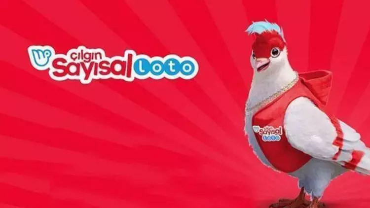 ÇILGIN SAYISAL LOTO SONUÇ SORGULAMA EKRANI