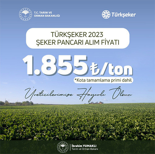 Şeker pancarı alım fiyatı 2023: Bakan Yumaklı duyurdu Şeker pancarı alım fiyatı ne kadar