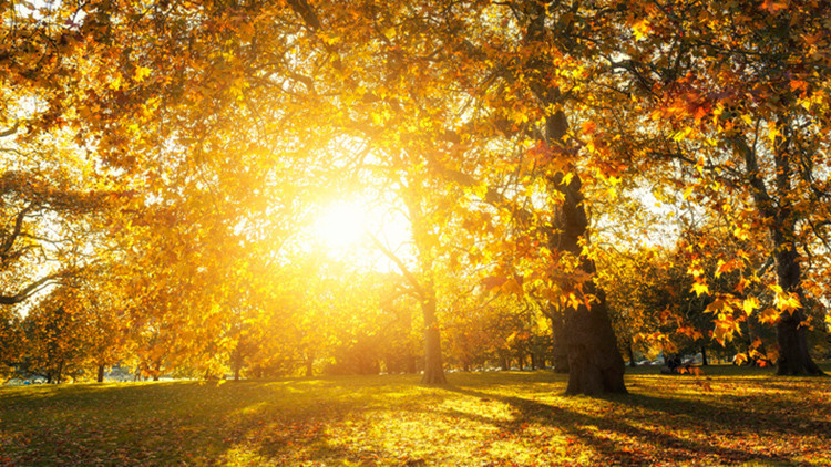 PASTIRMA SICAKLARI 2023 NE ZAMAN, HANGİ AY BAŞLAYACAK