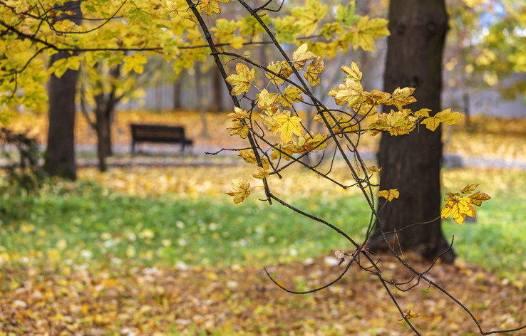 Pastırma yazı hangi tarihlerde bekleniyor Pastırma sıcakları için beklenen günler geldi mi İşte son açıklamalar
