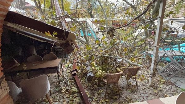 250 yıllık çınar fırtınada kökünden söküldü... Tarihi handa hasar oluştu... 600den fazla ihbar 250 yıllık çınar fırtınada kökünden söküldü... Tarihi handa hasar oluştu... 600den fazla ihbar