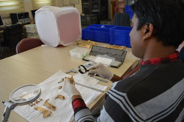 1500 yıllık kemikler bulundu Dikkat çeken keşif: Planlı bir şekilde gömülmüş, bıçak kesiği var 1500 yıllık kemikler bulundu Dikkat çeken keşif: Planlı bir şekilde gömülmüş, bıçak kesiği var