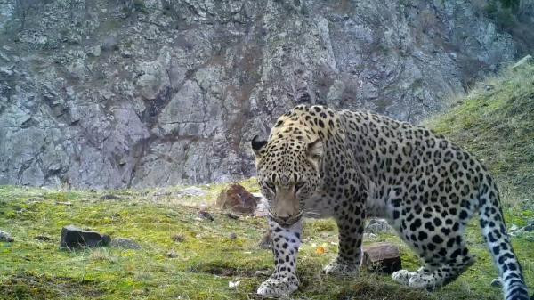 1500 yıllık kemikler bulundu Dikkat çeken keşif: Planlı bir şekilde gömülmüş, bıçak kesiği var 1500 yıllık kemikler bulundu Dikkat çeken keşif: Planlı bir şekilde gömülmüş, bıçak kesiği var
