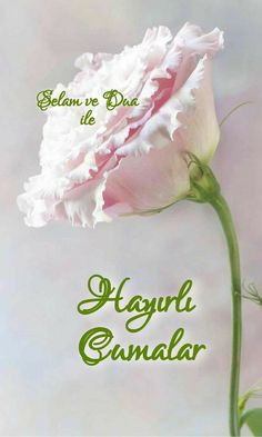 CUMA MESAJLARI RESİMLİ CUMA MESAJLARI RESİMLİ