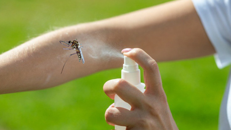 Sıtma hastalığı nedir, nasıl olur, bulaşıcı mı İşte sıtma hastalığı belirtileri ve tedavisi Sıtma hastalığı nedir, nasıl olur, bulaşıcı mı İşte sıtma hastalığı belirtileri ve tedavisi