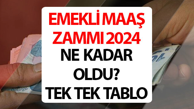 2024 EMEKLİ MAAŞI HESAPLAMASI 2024 EMEKLİ MAAŞI HESAPLAMASI