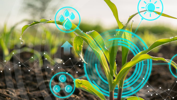 Tarım ve Orman Bakanlığı 7 bin 158 personel alımı başvuru tarihi ne zaman Tarım ve Orman Bakanlığı memur alımı başvuruları başladı mı, hangi illere alım yapılacak