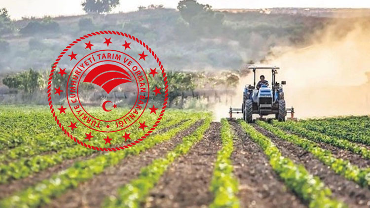 PERSONEL ALIMLARI KPSS PUANI VE TERCİH ETKİLİ OLACAK