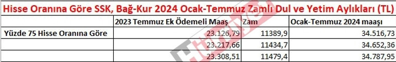 DUL VE YETİM MAAŞ 2024 HESAPLAMA TABLOSU (Yeni tutarlar) Emekli zammı sonrası değişti Ocak 2024 yeni dul ve yetim aylığı kaç TL oldu, yüzde kaç zam yapıldı DUL VE YETİM MAAŞ 2024 HESAPLAMA TABLOSU (Yeni tutarlar) Emekli zammı sonrası değişti Ocak 2024 yeni dul ve yetim aylığı kaç TL oldu, yüzde kaç zam yapıldı