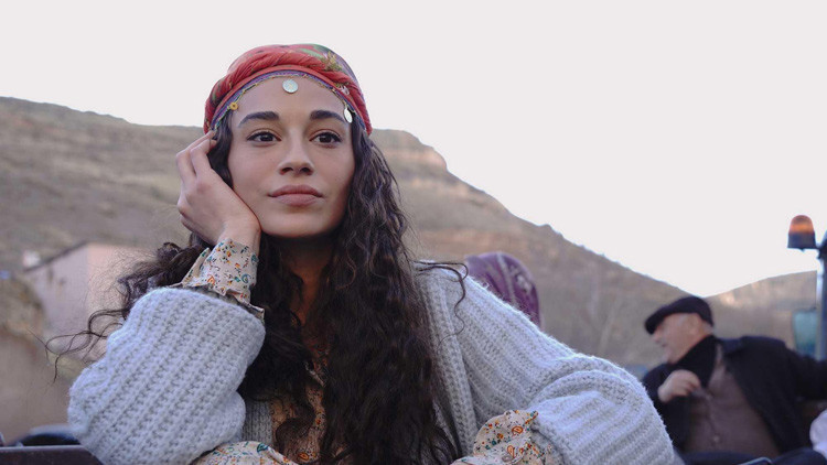 BİR SEVDADIR KONUSU