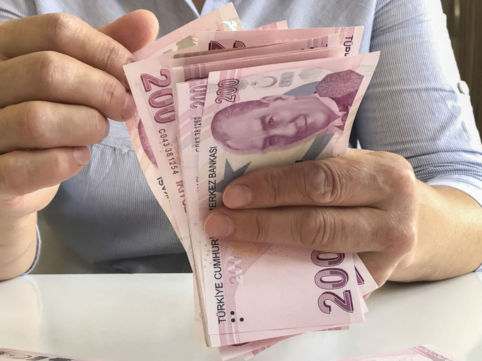 AİLE DESTEK ÖDEMELERİ NASIL SORGULANIR