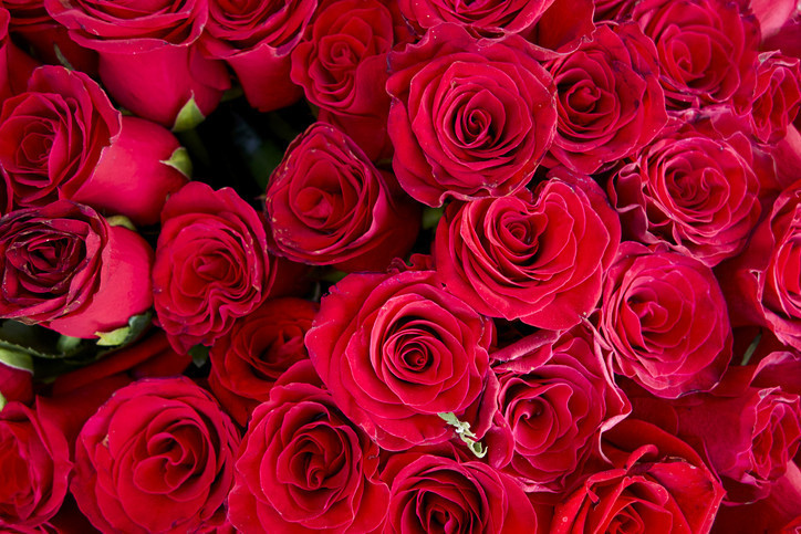 SEVGİLİLER GÜNÜ TARİHÇESİ (HİKAYESİ) SEVGİLİLER GÜNÜ TARİHÇESİ (HİKAYESİ)