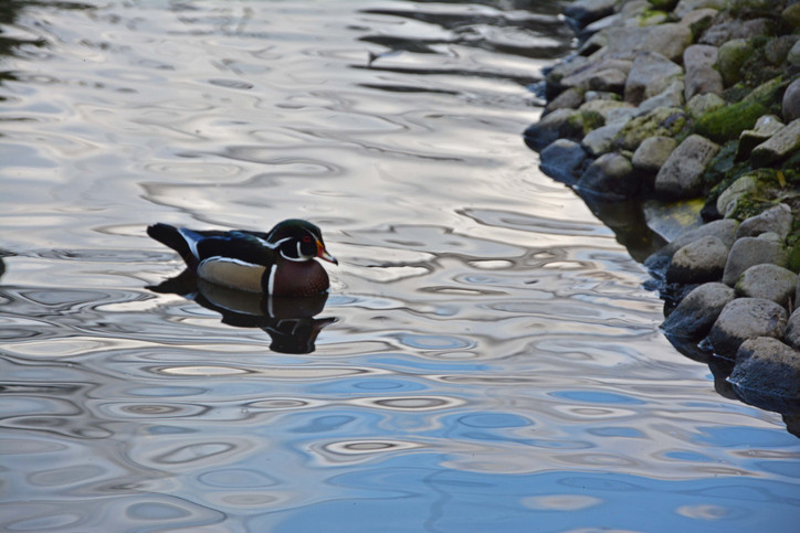 CEMRE NEDİR CEMRE NEDİR