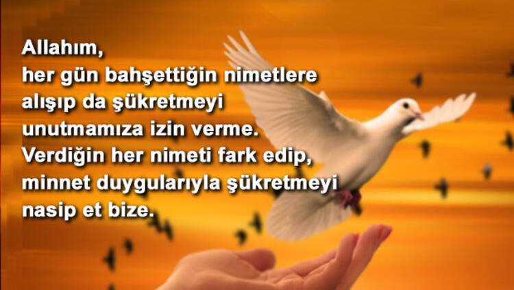 YENİ BERAT KANDİLİ MESAJLARI 2024 📩 || En güzel Kandil mesajları ve Hayırlı kandiller sözleri 2024 İşte kısa, uzun, hadisli, dualı, resimli, anlamlı Berat Kandili mesajları YENİ BERAT KANDİLİ MESAJLARI 2024 📩 || En güzel Kandil mesajları ve Hayırlı kandiller sözleri 2024 İşte kısa, uzun, hadisli, dualı, resimli, anlamlı Berat Kandili mesajları