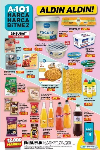 A101 29 Şubat 2024 aktüel kataloğu SATIŞTA  || A101 Tiny House getiriyor A101de bu hafta neler var