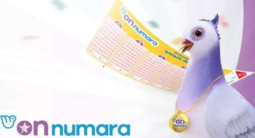 ON NUMARA NASIL OYNANIR