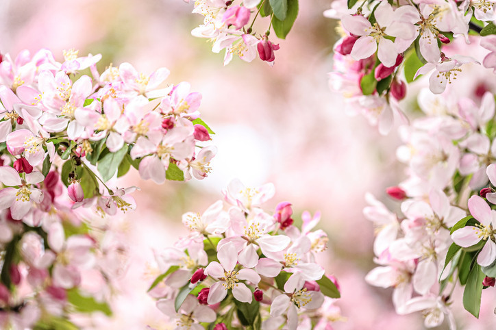 NEVRUZ GELENEKLERİ NELER