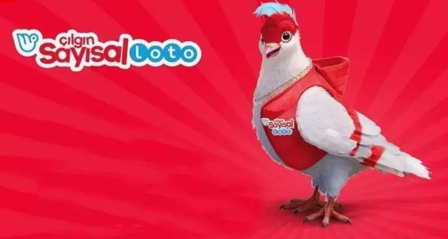 ÇILGIN SAYISAL LOTO NASIL OYNANIR