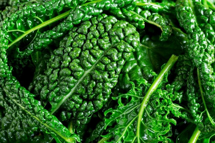 KADINLARIN %68I YETERLİ KALSİYUM ALMIYOR