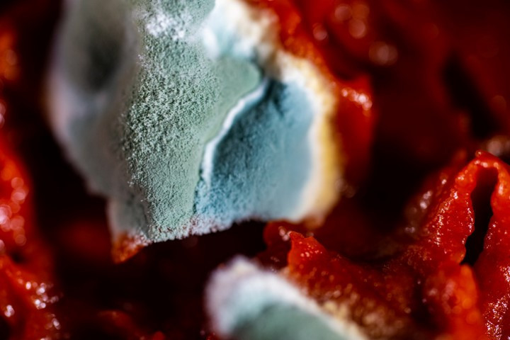 1 GRAMI 1 MİLYON İNSANI ÖLDÜREBİLİR 1 GRAMI 1 MİLYON İNSANI ÖLDÜREBİLİR