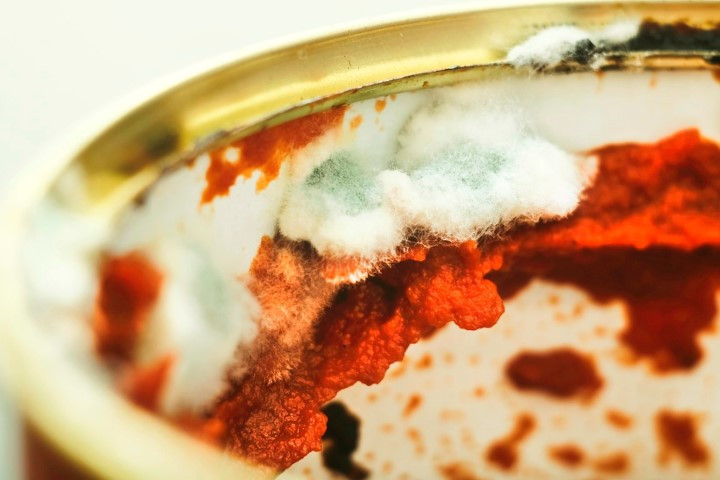 Salça satın alırken ve tüketirken dikkat ‘1 gramı 1 milyon insanı öldürebilir’ Salça satın alırken ve tüketirken dikkat ‘1 gramı 1 milyon insanı öldürebilir’