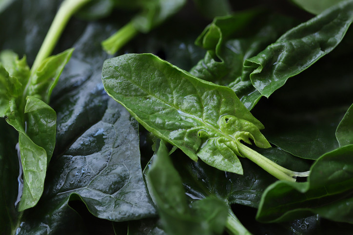 Karalahana, ıspanak