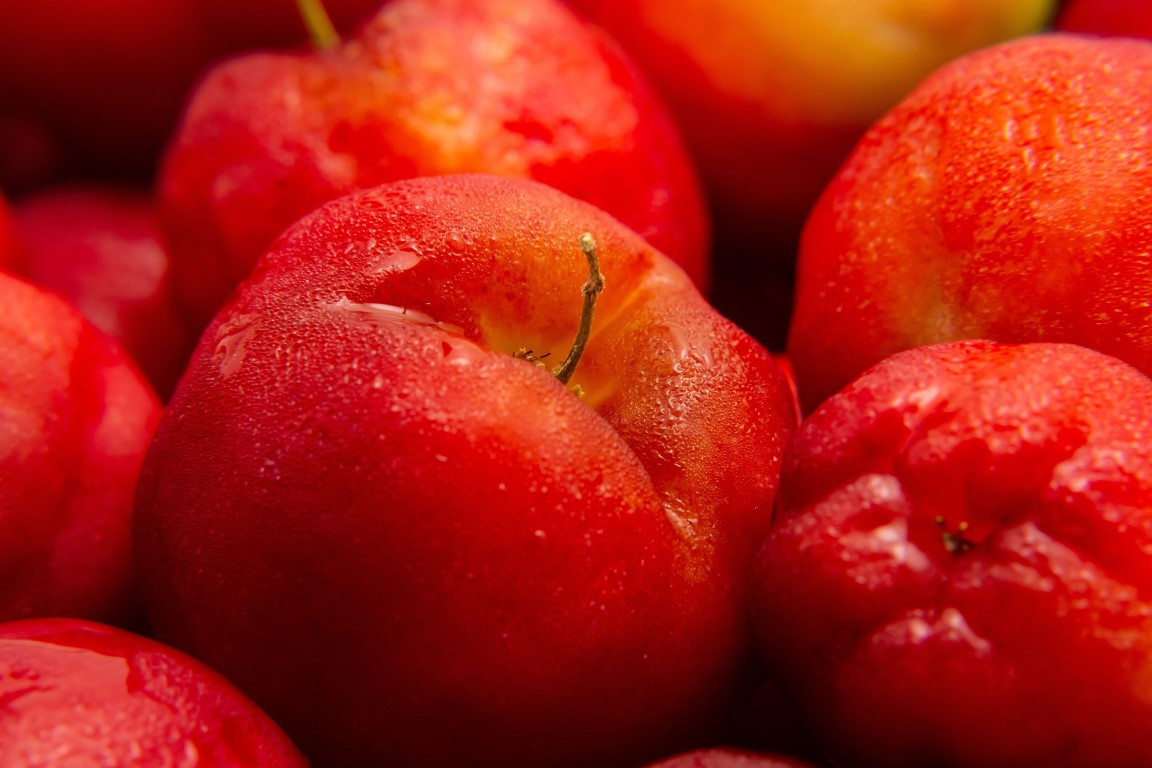 Katta kokrakli aktrisalar yalangoch Qullar va BDSM porno onlayn