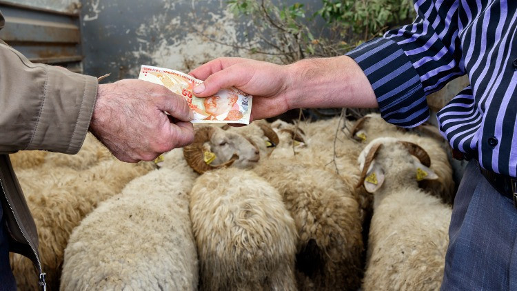 KURBAN BAYRAMI TATİLİ NE ZAMAN BAŞLIYOR KURBAN BAYRAMI TATİLİ NE ZAMAN BAŞLIYOR